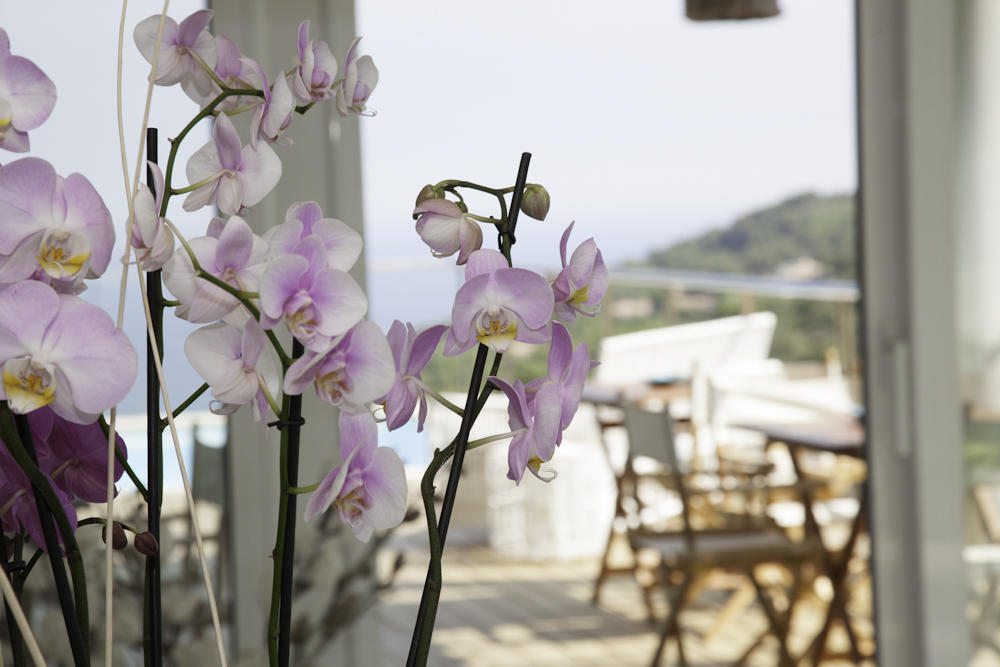 Es Cel De Begur Hotel Room photo
